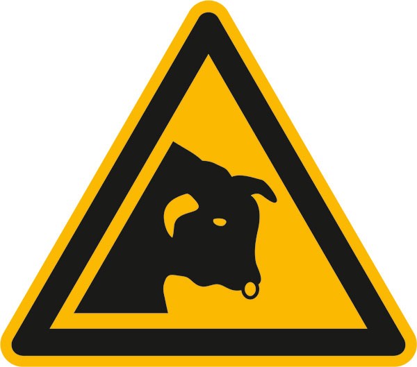 Warnschild Warnung vor Stier